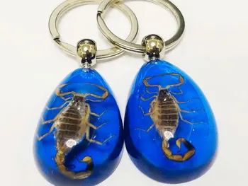 10 vnt Aukso Skorpionas Vabzdžių Mėlynos Spalvos, 