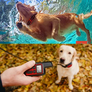 Atsparus vandeniui Šunų Mokymo Apykaklės Pet 500m Nuotolinio Valdymo Įkrovimo Smūgio garso Vibracijos Anti-Žievė Visiems Dydžio šuo 40% nuolaida
