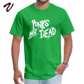 Punk not dead Naujausias Linux Normalus Tshirts Rainbow Six Apgulties Apvalios Apykaklės Vyrų Tees Dizaino Marškinėliai Vasaros Aukščiausios Kokybės