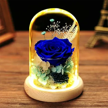 Eternal Rose Stiklo Kupolas Dirbtinis Amžinąjį Konservuotos Gėlės Rožės Namų Vestuvių Dekoro Motinos Diena, Valentino, Kalėdų Dovana