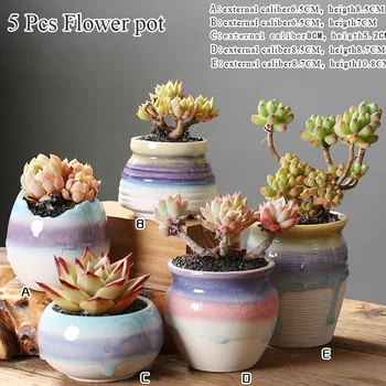Gėlių Vazonai, Įstiklintas Sultingi Kaktusas Puodą Augalų Sodo Keramikos Sodinamoji Lauko, Sodo Namų Dekoro palangės