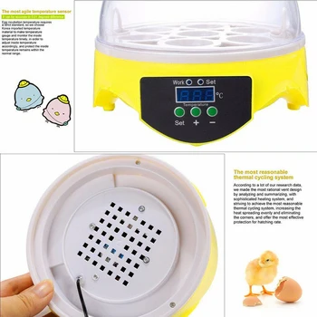 220V Mini Skaitmeninis Kiaušinių Inkubatorius Paukščių Inkubatorių Temperatūros Kontrolės Pusiau Tekinimo Vištienos Hatcher Brooder Vištienos