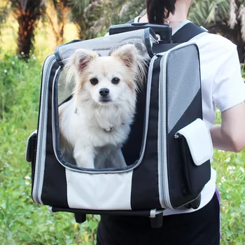 Naminių kačių kuprinė lauko nešiojamas šunų maišo traukti lazdele pet kuprinė lauko keliauti su naminių reikmenys