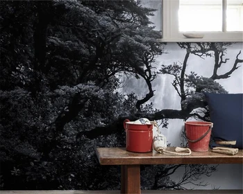 BeibehangCustom tapetai Šiaurės šalių meno juoda ir balta kraštovaizdžio krioklys veranda freskos namų dekoro gyvenimo kambario, miegamasis 3d tapetai