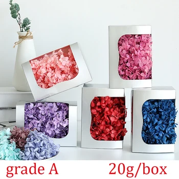 20g/Box Natūralių Džiovintų Hydrangea Gėlių Amžinąjį Gėlių Konservuoti Gėlių 