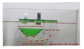 Apsaugos Saugus Neršti Baby Žuvų Veisimo Atskirai Langelį Bakas Inkubatorius Akvariumas Darželio Automatinė Cirkuliuojančių Perykla