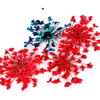 Mados Džiovintų Gėlių Epoksidinės UV Dervos Pakabukas Karoliai, Papuošalai Sausų Augalų Papuošalai Priėmimo Amatų 