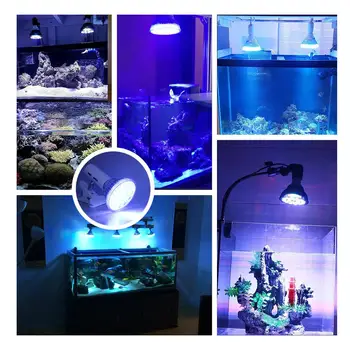 UV SPINDULIŲ LED Augti Akvariume šviesos 54W Led Pet Apšvietimo Žuvų Bakas, Lempos Augalų Lemputė Sūraus Jūros Koralų Rifas Karterio Alga