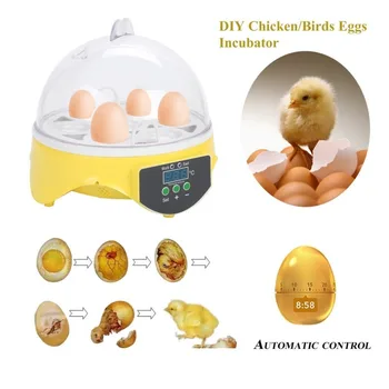 7 Kiaušiniai Talpa Vištos Kiaušinių Inkubatorius Paukščių Kiaušinių Stovas Dėklas Automatinė Pažangios Kontrolės Putpelių Papūga Inkubacijos Įrankis