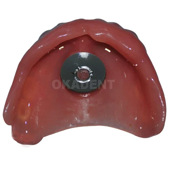 1 rinkinys 20mm Dantų Lab medžiagos, Dantų Gyvis dantų Protezų Plokštelė Saugojimo Pilnas Viršutinių dantų Protezų Akrilo Dalinių Protezų