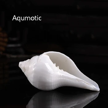 Aqumotic Natūralus Baltas Myli Atveju 1pc Budizmas Artefaktas Balta Myli Shell Jūros Kaip Ragas Retas Savininkas Forgun