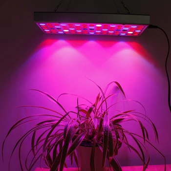 Visą Spektrą Phytolamps 25W 45W LED Grow Light Auginimo Lempos AC85-265V Augalų Šviesos Fitolampy Už Daigų Augalai, Gėlės