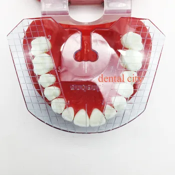 1pcs dantų lab dantų vadovas plokštė dantų susitarimą dėl dantų protezų darbą, Odontologijos įranga