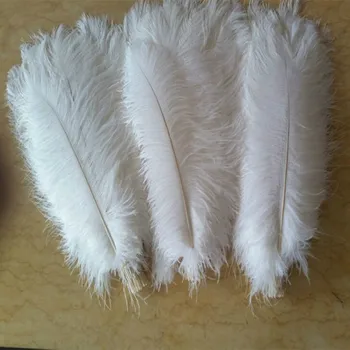 10 VNT natūrali balta stručio plunksna 45-50 cm / 18 iki 20 colių stručių plunksnos veiklos apdangalai, drabužiai, kamuoliai apdaila