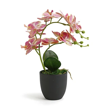 Orchidėja, Dirbtinės Gėlės, Kurių Vazonas Namų, Sodo Puošmena Nekilnojamojo Touch Netikrą Latekso Orchidėjų Žiedai Bonsai Flores Artificiales