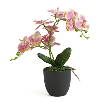 Orchidėja, Dirbtinės Gėlės, Kurių Vazonas Namų, Sodo Puošmena Nekilnojamojo Touch Netikrą Latekso Orchidėjų Žiedai Bonsai Flores Artificiales