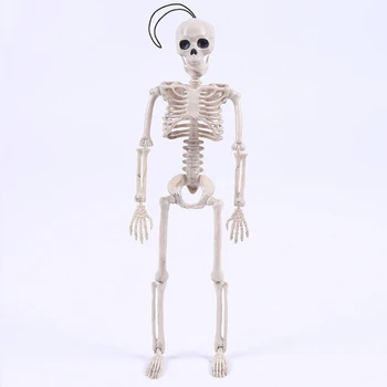 Naujovė Kietas Ponas Skeletas Nuotaka Žmogaus Kaukolės Modelis Kūno Figūra Žaislas Helovinas F3ME