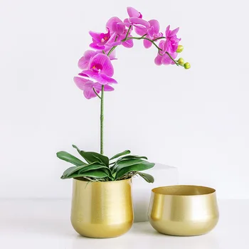 Nordic Light Luxury Gold Geležies Meno Kūrybos Atidarymo Gėlių Puodą Aukso Švenčių Phalaenopsis Vaza Metalo Sultingas Gėlių Dekoracija