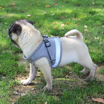 Naujas pet krūtinės diržas liemenės tipo šuns pavadėlio atspindintis šuo, virvė naminių reikmenys