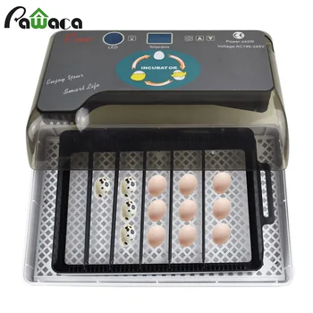 12 Kiaušinių Automatinis Skaitmeninis Kiaušiniai Inkubatoriaus Hatcher Namų Mini Perinti Inkubatoriuje Vištienos Ančių Kiaušinių Inkubatorius Perinti Mašina