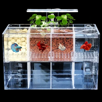 Kūrybos Mažų Žuvų Mailiaus Veisimo Atskirai Langelį Akrilo Darbalaukio Žuvų Bakas Akvariumas Dovana Su LED Šviesa
