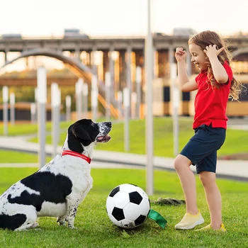 Juoda Ir Balta Šuns Žaislas Atnaujinti Patraukti Skirtukai Šuo Futbolo Kamuolys Futbolo Žaislais Gyvūnėliams, Pripučiami Adata