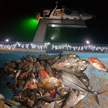 12V LED Povandeninis Nuskendo Povandeninis Naktį Žvejybos Šviesos Crappie Kalmarai Valtis Shad Krevečių Žuvų Ieškiklis Lempa, 5m Laidas