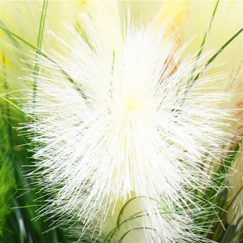 5 Šakių Nendrių Žolės Dirbtinių Gėlių Sode Kambarį Baldai Netikrą Gėlės Vestuves Gėlių Dekoracija