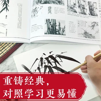 Kinų tradicinės tapybos meno knygos, Garstyčių Sėklos, Sodo Tapyba, Biografija (Trijų tomų Rinkinys Liaudiškas Iliustruotas Leidimas)
