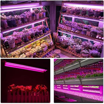Naujas LED Augti Žiburiai 200W viso Spektro LED Auginimo Lempų Apšvietimo 50 cm Dvigubas vamzdelis augalų liustra už Hydroponic kambariniai Augalai