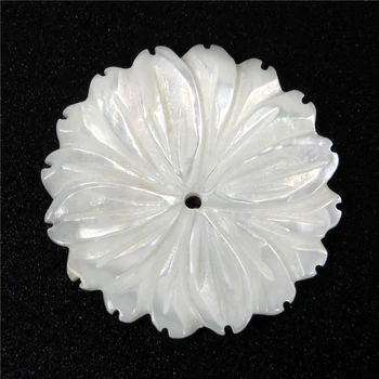 Chrysanthemum Formos Korpuso Gėlių Natūralus Baltas Drugelis 