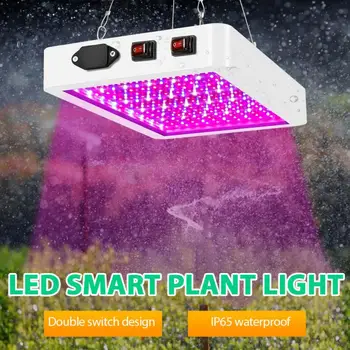 LED Augalų Auga Šviesos Hydroponic Visą Spektrą Patalpų Daržovių, Gėlių, Augalų Lempa Skydelyje Juosta Sėklos, Augalai, Gėlės Šiltnamiuose