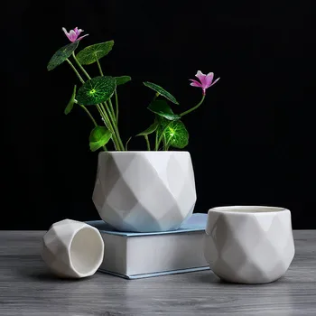 Kūrybinės Keramikos Baltos Spalvos Geometrinis Vazonas Paprasta Sultingi Augalų Konteinerių Žalia Vazonai Maži Bonsai Puodai Namų Puošybai