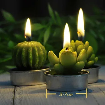 6Pcs Sultingi Augalai Pelėsių Kaktusų Aromatą Gipso Tinkas Silikono Žvakių Pelėsis Namuose, Vestuvių, Gimtadienio Dekoracija Namuose DecorN