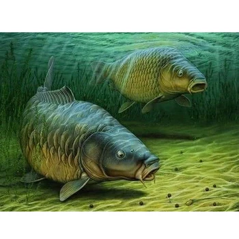 5d Diamond Tapybos Big Fish 