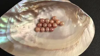 Gamyklos pardavimo 10-11mm gėlo vandens Persikų išdrožti taičio perlai perlas laisvas