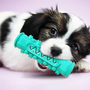 Šunų Kramtyti Žaislus dantų šepetėlį Kaulų Mažylis Dantų Valymas Fidget Žaislas Augintiniui Šepečiu Stick Naminių Reikmenys Produkto Žaislai Mažiems Didelių Šunų