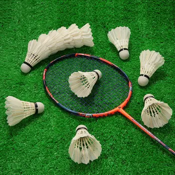 12pcs Badmintons Antis/Žąsų Plunksnų Gaidys/Putos Galvos Shuttle Gaidžiai Pagalbinės Nustatyti Badmintono Kamuolys Žaidimas su Saugojimo Vamzdis