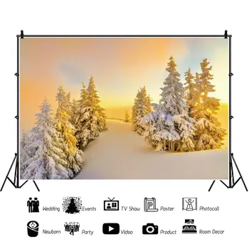 Laeacco Žiemą Temstant Gausus Sniegas Pušų Lyguma Vaizdingos Gamtos Fotografijos Fono Nuotrauką Fone Photocall Foto Studija