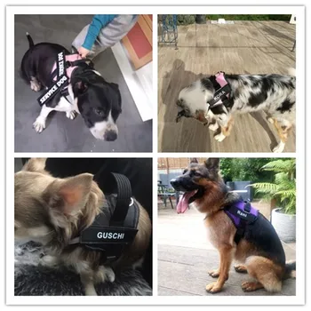 Reguliuojamas Nailono Šuns Pakinktai Atspindintis Šunų Antkaklis Asmeninį Šunys Pakinktų ir Pavadėlio Komplektas Šunys Vest ID Custom Patch Pėsčiomis