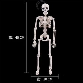 Lanksti Žmogaus Anatomijos Anatomija kaulų Skeleto Modelis Medicinos Didmeninė Mokytis Medicinos Pagalbos Anatomija meno eskizas 40CM Helovinas