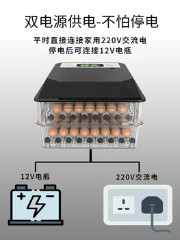 Digital Energy Temperatūros Kontrolės 36 Kiaušinių Inkubatorius Vištos Antys Žąsys Incubadora Couveuse Termostatas 12V/220V