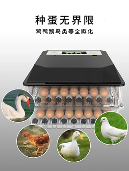 Digital Energy Temperatūros Kontrolės 36 Kiaušinių Inkubatorius Vištos Antys Žąsys Incubadora Couveuse Termostatas 12V/220V