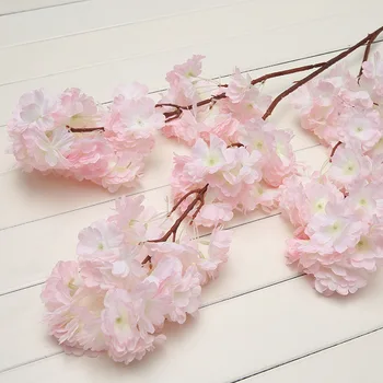 Pranešk apie netikrą Vyšnių Žiedų Gėlių Filialas Begonia Sakura Medžio Kamienas Renginys 