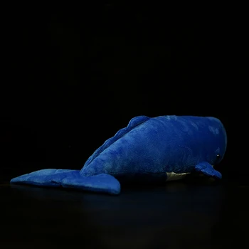 54cm Ilgio Tikroviška kašaloto Kimštiniai Žaislai, Super Minkštas Jūros Gyvūnų Cachalot Pliušinis Žaislas Puodą Banginis Lėlės Vaikams