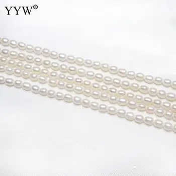 YYW Aukštos Kokybės Dirbtiniu būdu išauginti Bulvių Gėlavandenių Perlų Karoliukus, natūralus baltas 3-4mm Maždaug 0,8 mm Parduotas Už Maždaug 15 Colių Kryptis