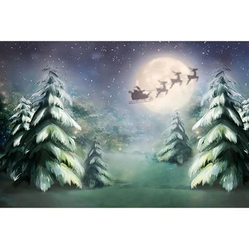 Kalėdų Fonas Fotografijai Kalėdų Šalis šiaurės Elnių Nakties Dangaus Fone, Photocall Tapybos Žiemos Stebuklų Backdrops