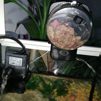 Skaitmeninės Automatinio Žuvų Finansuojančiojo Žuvų Maistas Elektros Laikmatis Namuose Akvariumą Bakas Priedai Bakas Maisto Žuvims Šerti
