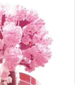 1PC 2019 90x80mm Stebuklingai Popieriaus Sakura Kristalų Medžių Magija Augančių Medžių Japonija Darbalaukio Cherry Blossom Švietimo Žaislai Naujovių