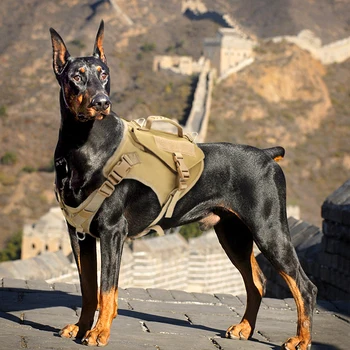 Karinis Taktinis Šuns Pakinktai Vest Šunų Mokymo Medžioklės Molle Liemenės Vokiečių Aviganis Vest Vidutinių Didelių Šunų Kolonėlė